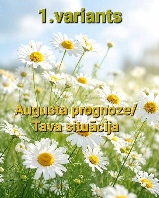 AUGUSTA PROGNOZE (1.VARIANTS)