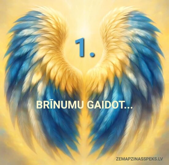 BRĪNUMU GAIDOT (1. VARIANTS)